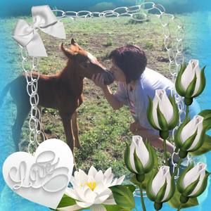 Meet your Posher, Carmen